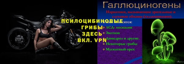 прущая мука Алзамай