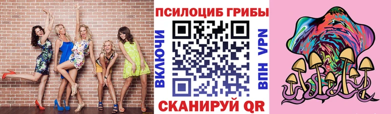 Псилоцибиновые грибы мицелий  Купить закладки  Белово 