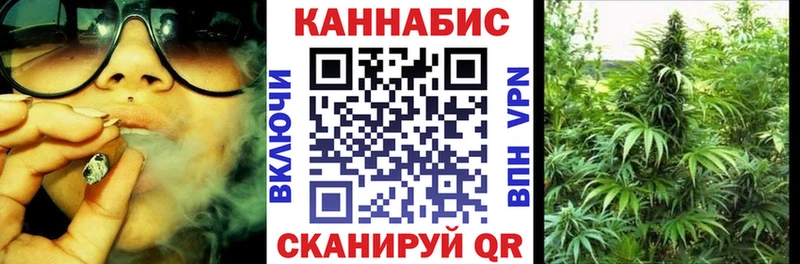 Бошки Шишки конопля  Купить где  Белово 